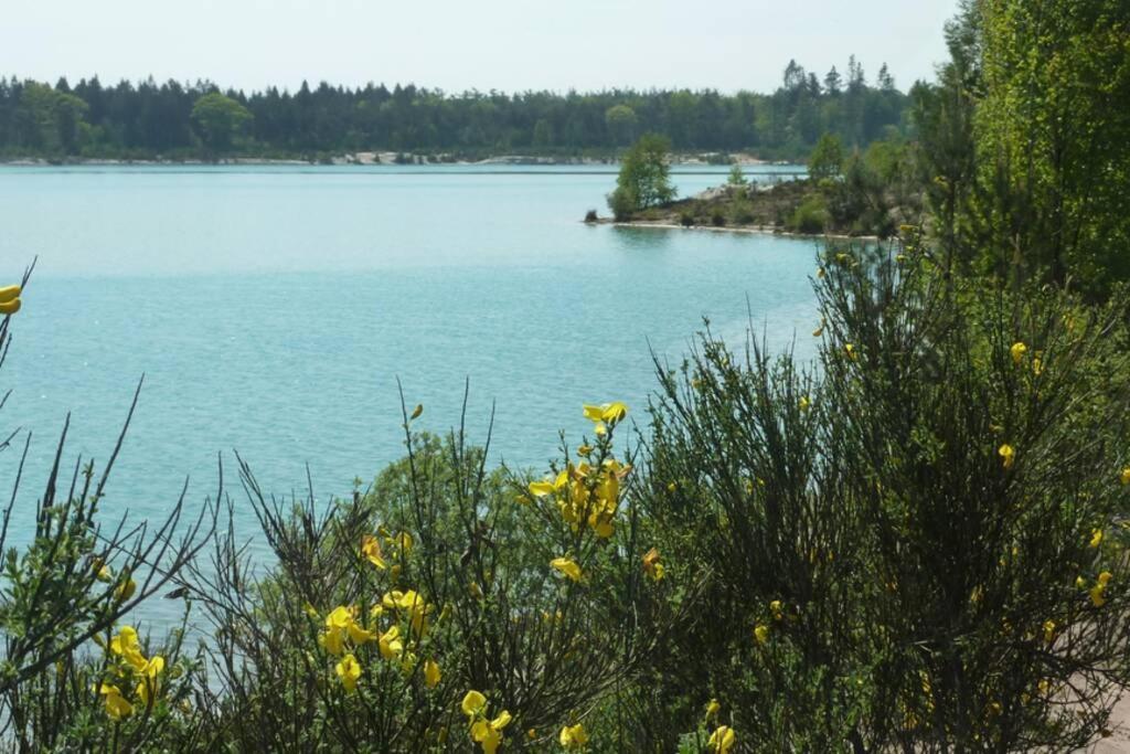Sfeervolle Villa In Gasselte Drenthe Bij Hemelriek Dış mekan fotoğraf