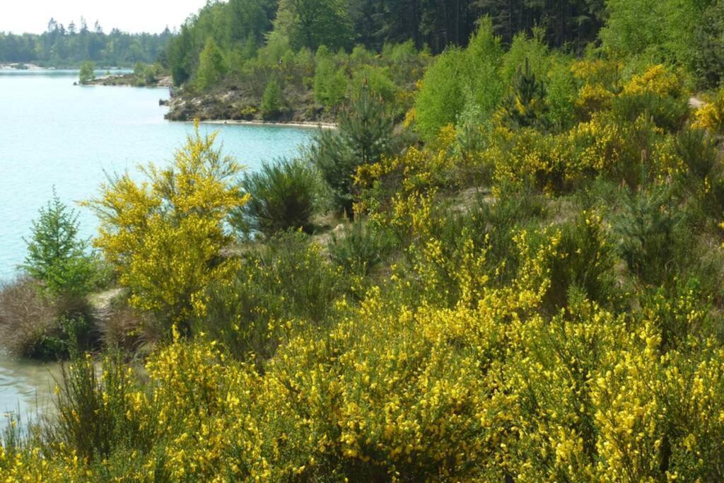 Sfeervolle Villa In Gasselte Drenthe Bij Hemelriek Dış mekan fotoğraf